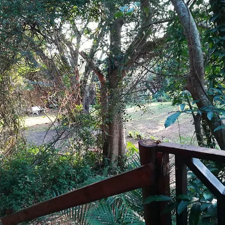 Beach Wood Cottages Shelly Beach Exterior photo